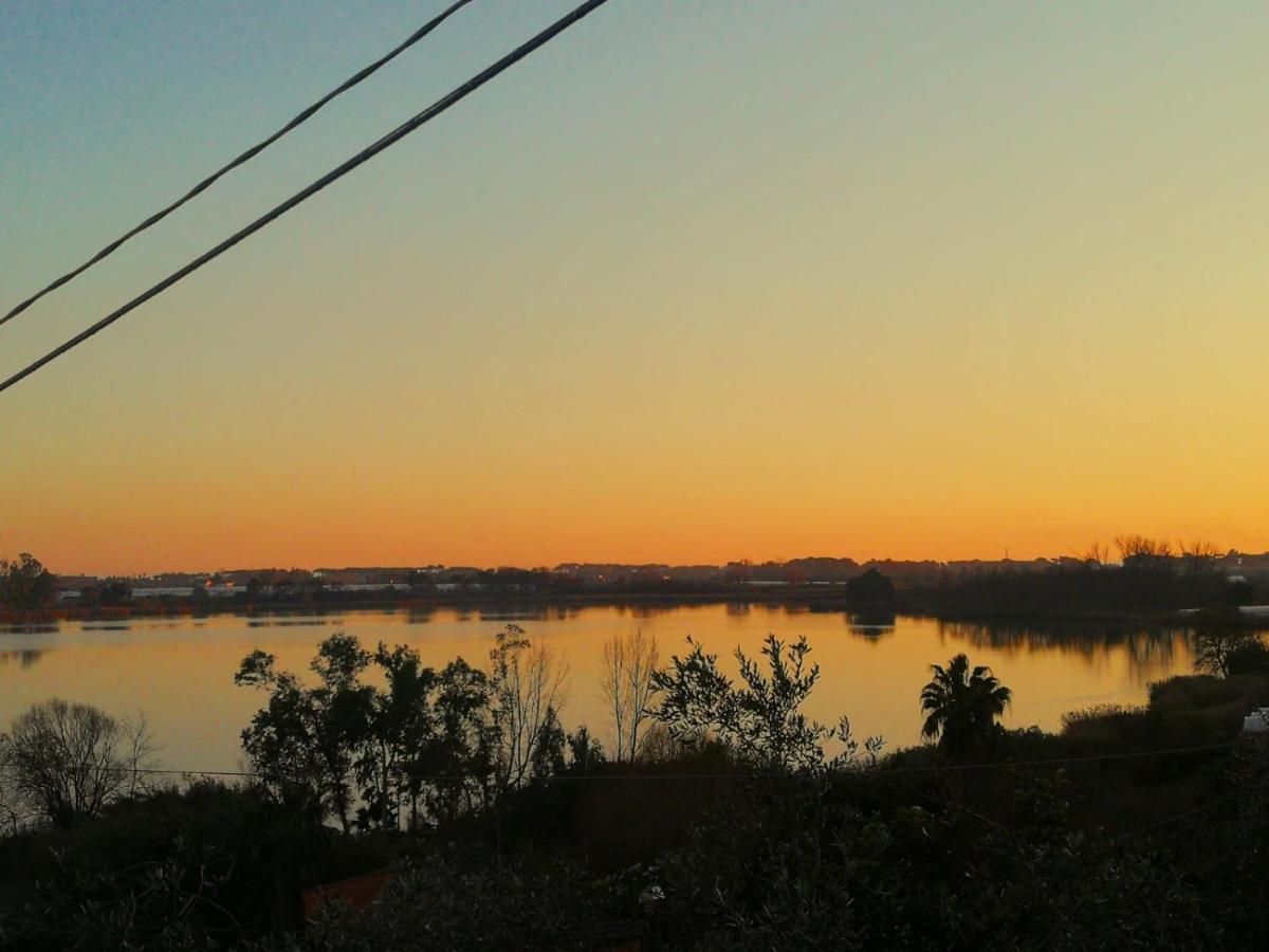 טרצ'ינה Sul Lago Dorato מראה חיצוני תמונה